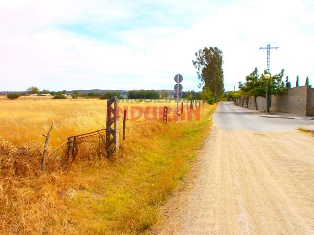 Granja En venta en Navalmoral De La Mata photo 0