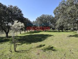 Granja En venta en Valdehúncar photo 0