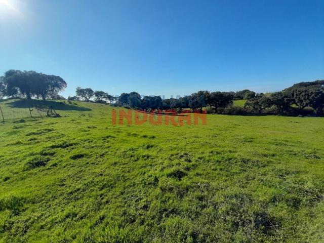 Granja En venta en Millanes photo 0