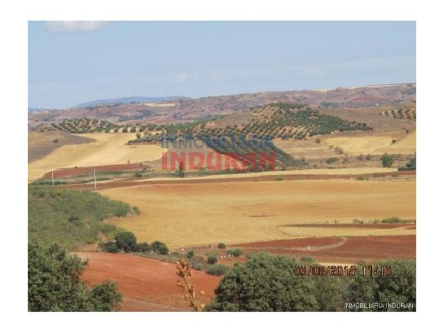 Otro En venta en Almedina photo 0