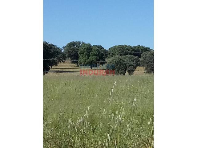 Otro En venta en Alcolea De Tajo photo 0