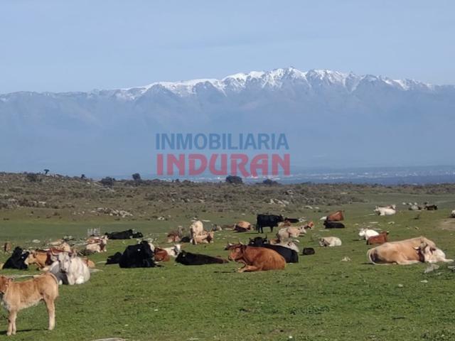 Otro En venta en Navalmoral De La Mata photo 0