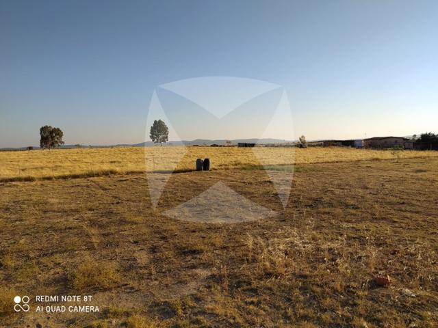 Granja En venta en Cáceres photo 0