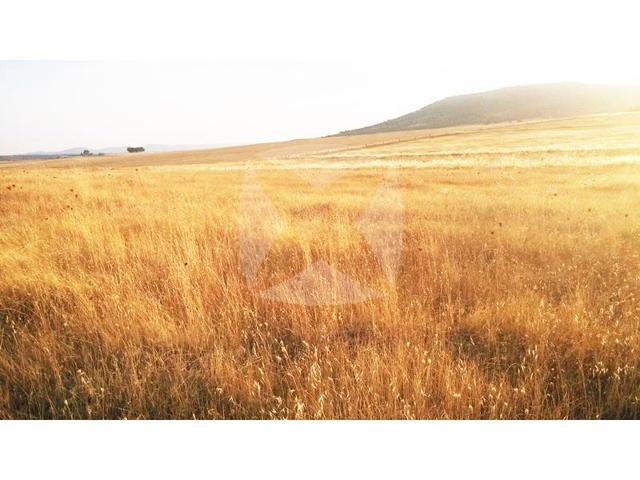 Otro En venta en Sierra De Fuentes photo 0