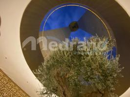 Piso En alquiler en Benidorm photo 0