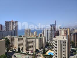 Piso En alquiler en Benidorm photo 0