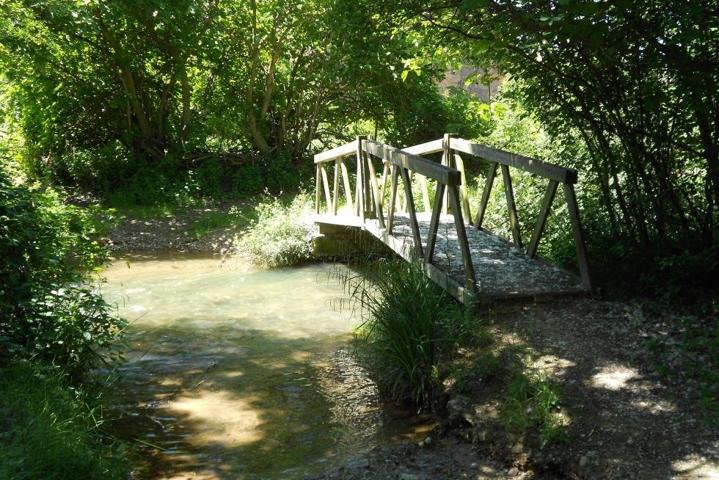 SE VENDE FINCA RÚSTICA EN TORRELLAS (ZARAGOZA) photo 0