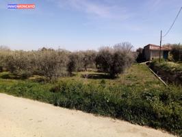 SE VENDE ESTUPENDA FINCA EN CAPUCHINOS - TARAZONA photo 0