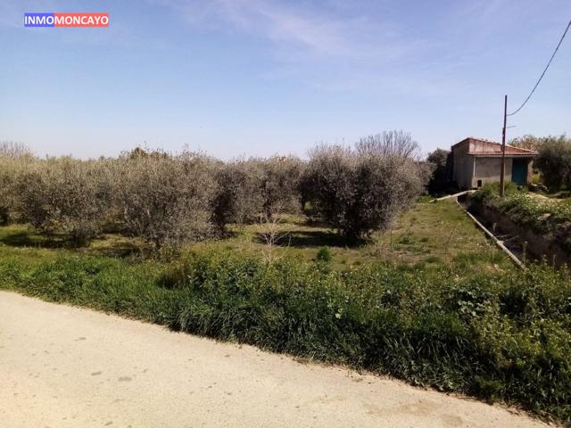 SE VENDE ESTUPENDA FINCA EN CAPUCHINOS - TARAZONA photo 0