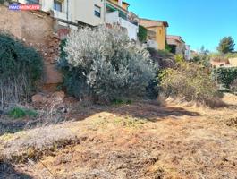 Se vende huerto en San Miguel photo 0
