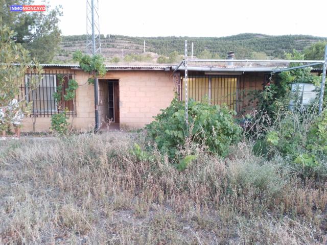 SE VENDE FINCA CON LUZ Y AGUA EN GRISEL photo 0