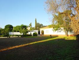 Chalet independiente de una planta en urbanización privada en 'la milla de oro de Sanlúcar'. photo 0