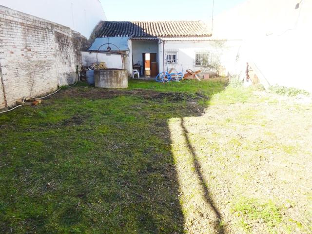 Casa de una planta y con gran patio cerca del centro. photo 0