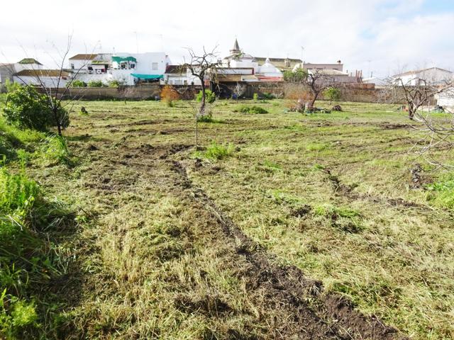 ¡¡ Oportunidad !! Parcela urbana y rústica de 2.526 M2 en zona cétrica junto a la Iglesia. photo 0