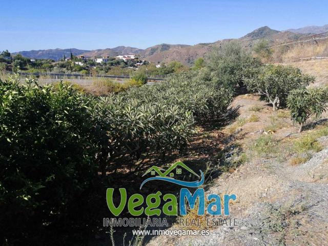 Terreno en venta en Jete de 7000 m2 photo 0