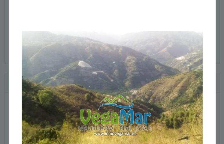 Terreno en venta en Jete de 20000 m2 photo 0