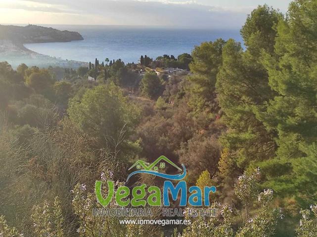 Se vende terreno urbanizable en La Herradura photo 0