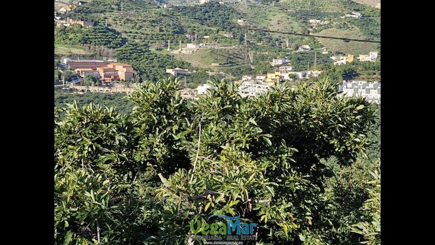 Se vende maravillosa casa rústica en Torrecuevas, Almuñecar photo 0