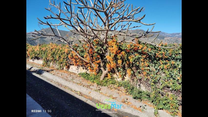 Casa Rústica en venta en La Mezquitilla de 70 m2 photo 0