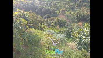 Finca Rústica en venta en Jete de 18000 m2 photo 0