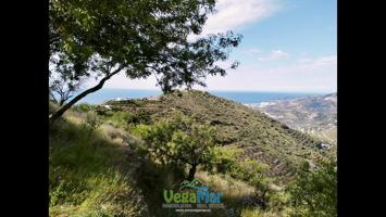 Se vende cortijo en la loma del gato, Almuñécar photo 0