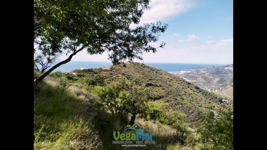 Se vende cortijo en la loma del gato, Almuñécar photo 0