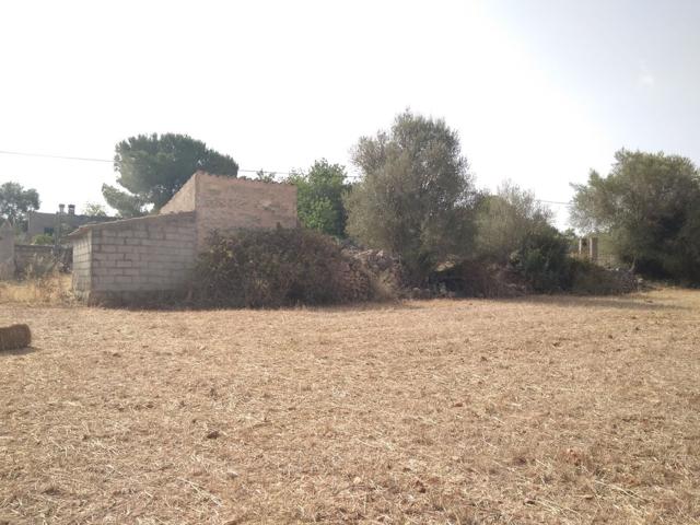 Terreno Urbanizable En venta en Diseminado Diseminados Var, Sineu photo 0