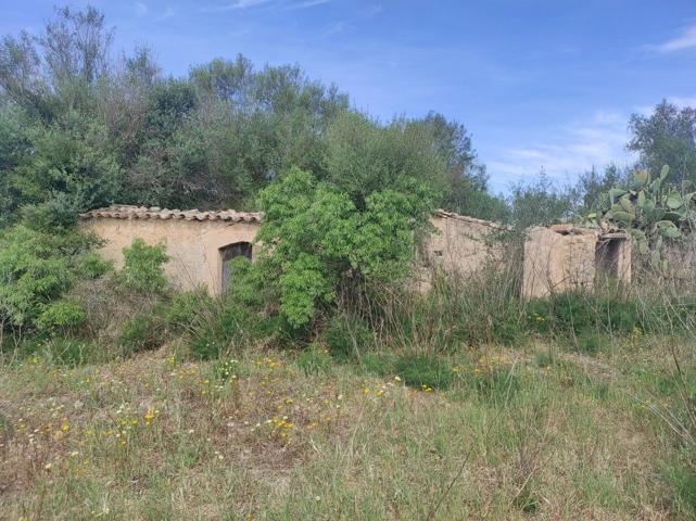 Casa De Campo En venta en Poligono 11, 0, Sineu photo 0