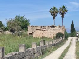 Casa De Campo En venta en Poligono, 0, Sineu photo 0