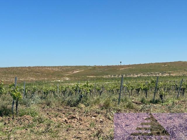 Terreno Urbanizable En venta en Polígono 3 Parcela 86, Centro, Las Ventas De Retamosa photo 0