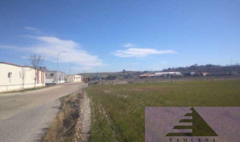 Terreno Urbanizable En venta en Centro, Pinto photo 0