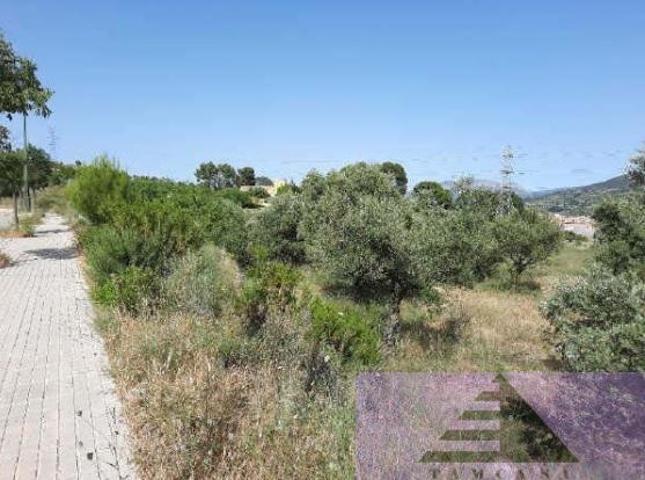Terreno Urbanizable En venta en Sc Sector Solana, 1, Barrio, Alcoy photo 0