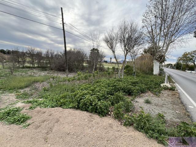 Terreno Urbanizable En venta en Doctor Marañón, 68, Centro, Almoradí photo 0