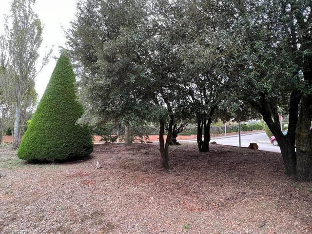 Terreno urbanizable en Mas Ferrer - Begues. photo 0