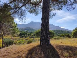 Terreno en venta en ARNEDO de 14000 m2 photo 0