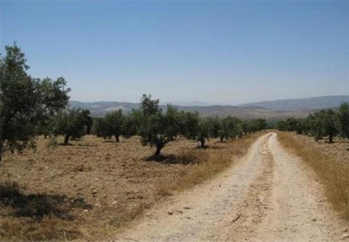 Terreno Urbanizable En venta en Crta Banyeres-Biar, Biar photo 0