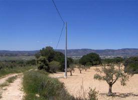 Agrícola En venta en Crta Banyeres-Biar, Biar photo 0