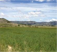 Agrícola En venta en Carretera Bañeres-Biar, Biar photo 0