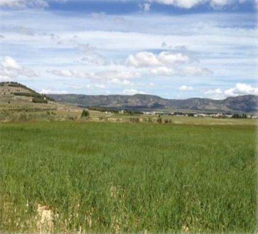Terreno Urbanizable En venta en Carretera Bañeres-Biar, Biar photo 0