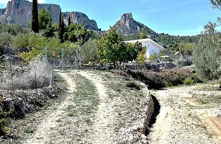 Se vende Terreno con Casa de apero photo 0