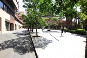 Gran Oportunidad Comercial en Alicante: Local photo 0