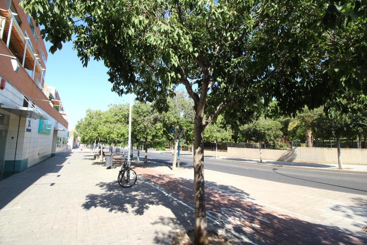 Amplio Local Comercial en Alquiler - Oportunidad Estratégica en Alicante photo 0