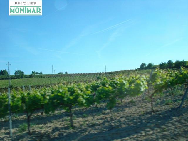 Finca Rústica con Masía y 60 Ha. en Venta en La Munia-Castellvi de la Marca de 600.000 m2. photo 0