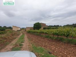 Finca Rústica en el Pla de Santa María de 37,5 Ha. con Masía photo 0