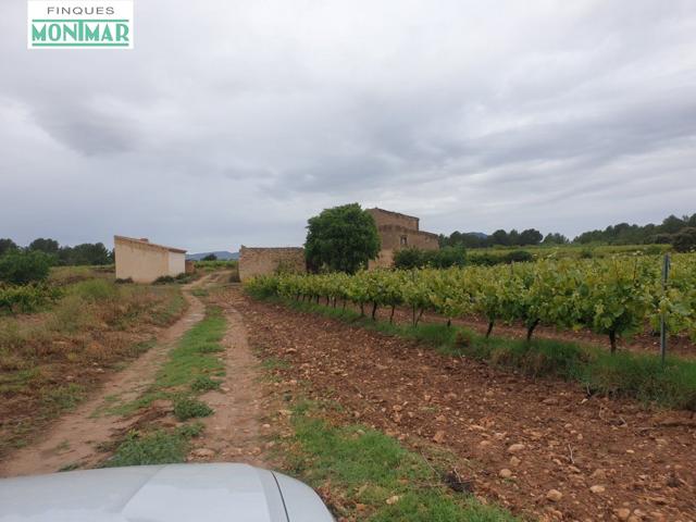 Finca Rústica en el Pla de Santa María de 37,5 Ha. con Masía photo 0