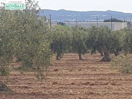 En venta Finca Rústica en Sant Jaume dels Domenys. photo 0