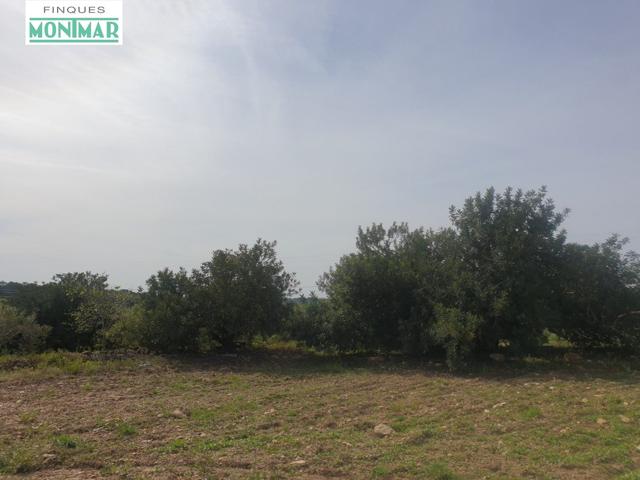 En venta Finca Rústica en Secuita de 5,29 Ha. photo 0