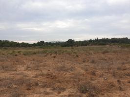 TERRENO AGRICOLA EN VENTA EN VILANOVA I LA GELTRU DE 24.685 m2 photo 0