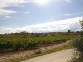 VENTA DE FINCA RUSTICA EN VILAFRANCA DEL PENEDES DE 9 Ha. photo 0