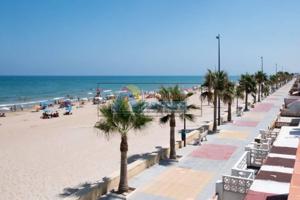 APARTAMENTO-COMERCIO  EN PLANTA BAJA EN  PLAYA DE MIRAMAR photo 0